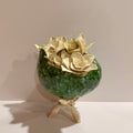 Eggshell #4