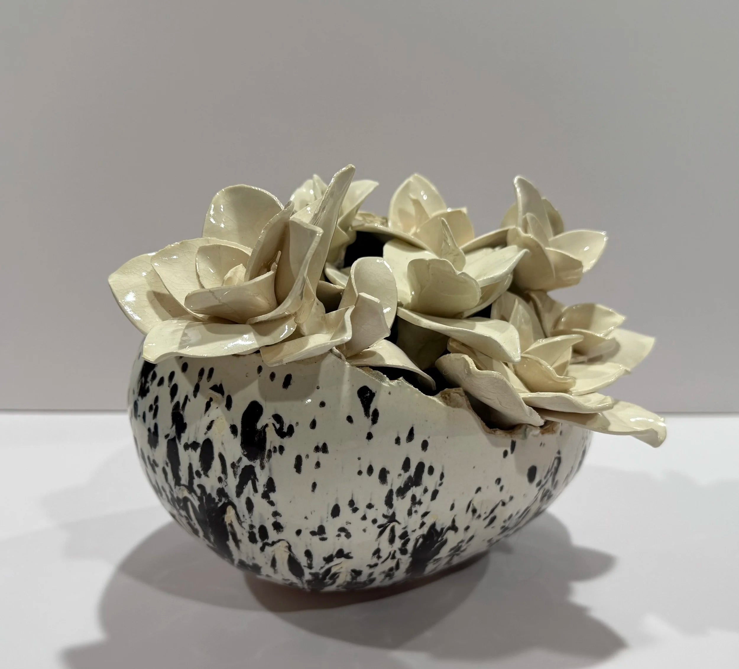 Eggshell #7