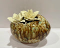 Eggshell #1