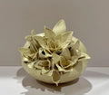 Eggshell #3