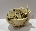 Eggshell #12
